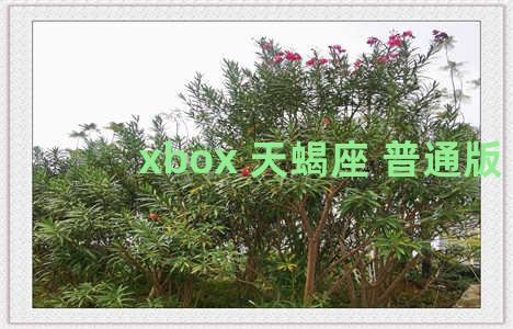 xbox 天蝎座 普通版